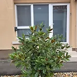 Belvarosi Appartement