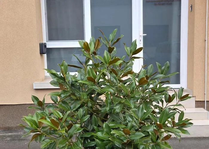 Belvárosi Apartamento